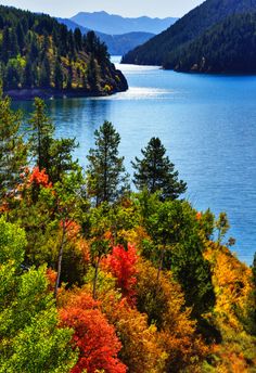 a lake surrounded by lots of trees in the middle of fall colors with mountains in the background