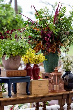 there are many different types of flowers in vases on the table and behind them is a bench