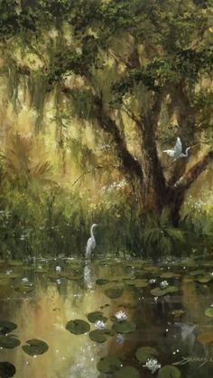 two white birds are standing in the water near a tree and lily pads on the ground