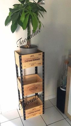 a potted plant sitting on top of a wooden shelf next to a white tiled floor