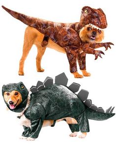 two dogs dressed up as dinosaurs and one is wearing a dinosaur costume with its mouth open