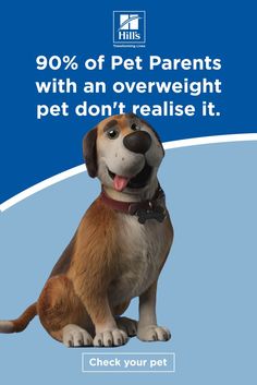 a dog sitting on the ground with its tongue out and it's caption that reads, 90 % of pet parents with an overweighte pet don't realise it check your pet