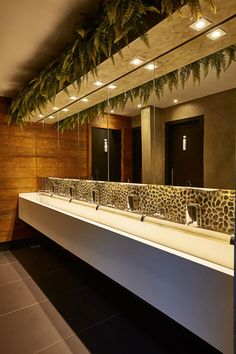 a bathroom with two sinks, mirrors and plants hanging from the ceiling over it's counter tops