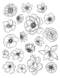 the flowers are drawn in black and white