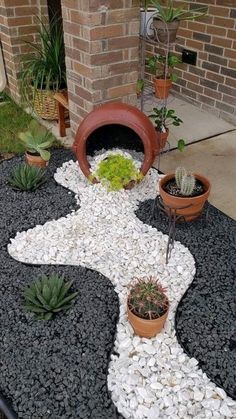 an outdoor garden with rocks and plants