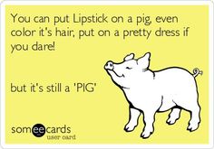 a pig saying you can put lipstick on a pig even color it's hair, put on a pretty dress if you dare