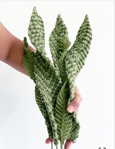 someone is holding up a crocheted plant in their left hand, and it looks like they have been knitted