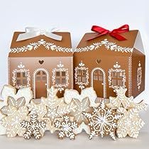 gingerbread houses and snowflakes are on display in front of a cardboard box