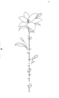 a drawing of a flower with chinese writing on it