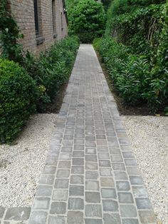 a brick walkway between two buildings with bushes on either side