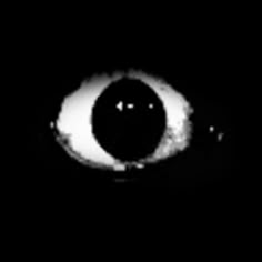 an eyeball is seen in the dark