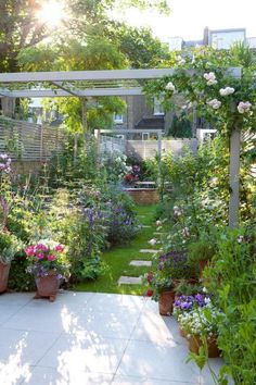 an outdoor garden with lots of flowers and plants