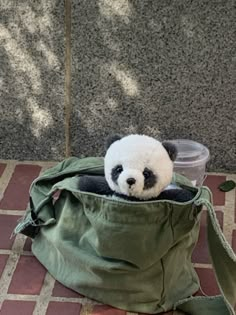 a panda bear sitting in a bag on the ground