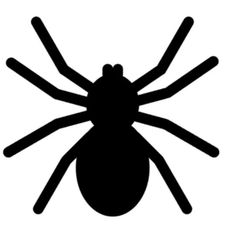 a black and white image of a spider