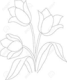 the outline of three flowers on a white background stock photo, image and royalty illustration