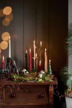 a table topped with lots of candles next to a potted plant and christmas decorations