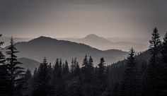 black and white photograph of mountains with trees in the foreground on a cloudy day