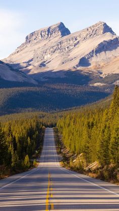 an empty road in the mountains with trees on both sides and snow capped mountain behind it