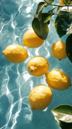 several lemons floating on top of the water