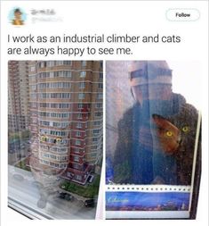 an image of a man with a cat in his lap looking out the window at buildings