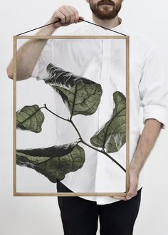 a man holding up a framed photograph with leaves on it