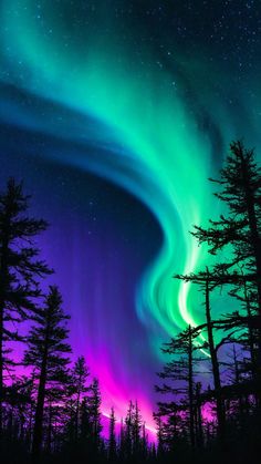 an aurora bore is seen in the sky above some trees