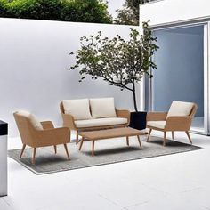 an outdoor living area with furniture and a tree