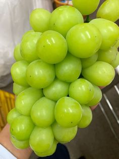 a bunch of green grapes in someone's hand