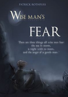 a book cover for wise man's fear by patrick rothauss with an illustration of a woman sitting on a rock