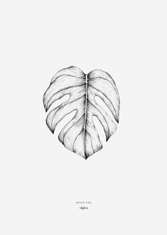 a black and white drawing of a leaf