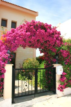 a gate with pink flowers on it next to a house