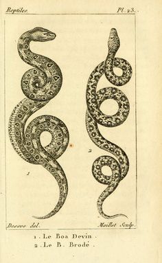 an old book with two snakes on it