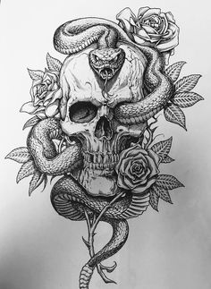 a drawing of a skull and snake with roses