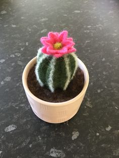 a small potted plant with a pink flower in it