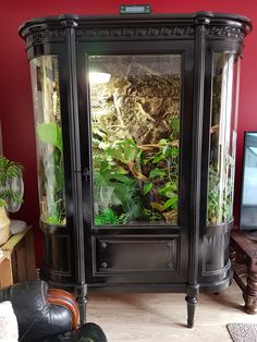 an ornate black cabinet with plants in it