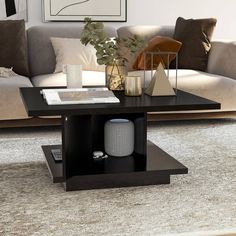 a living room with a couch, coffee table and other items on the carpeted floor