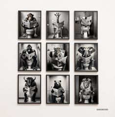 six black and white photographs of people in bathroom with animals on the toilet, reading