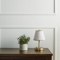 a table with a lamp and a potted plant on it next to a white wall