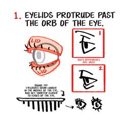 how to draw an eye step by step instructions for drawing the eyes and eyebrows in adobe