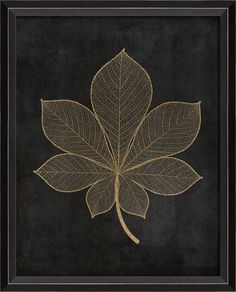 Spicher & Company BC Leaf No4 gold on black sm 82753 Aesthetic Tumblr Backgrounds, Lovely Flowers Wallpaper, Pressed Flower Art, Art Drawings For Kids, Gold Art, Canvas Texture, Diy Canvas Art, Drawing Inspiration, Painting Inspiration