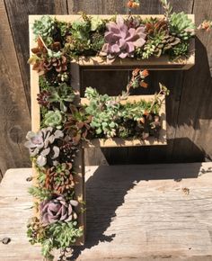 the letter f is made out of succulents