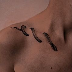 a man's chest with two snakes on the side and one in the middle