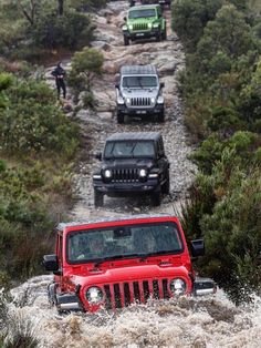 four jeeps are driving through the water on a muddy road with trees and bushes