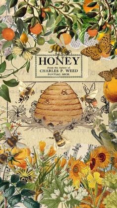 a book cover with an image of bees and sunflowers in the middle, surrounded by honey