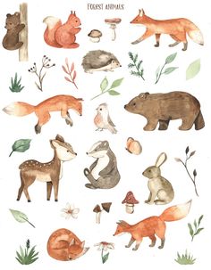 an illustration of different types of animals in watercolor and ink on paper, with the words forest animals above them