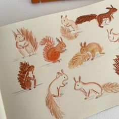 a drawing of different types of animals on paper