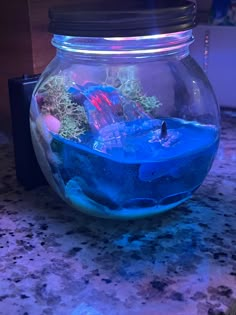 a fish bowl filled with water and rocks