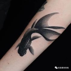 a black and white fish tattoo on the arm