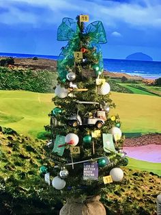 a christmas tree with golf balls on it in front of the ocean and green grass