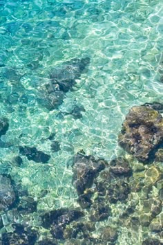 the water is crystal clear and blue with rocks in it's bottom right side